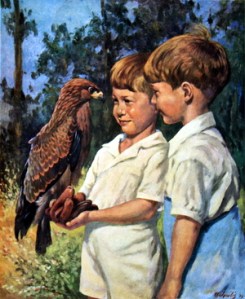 IMG_2596 crop small enhanced